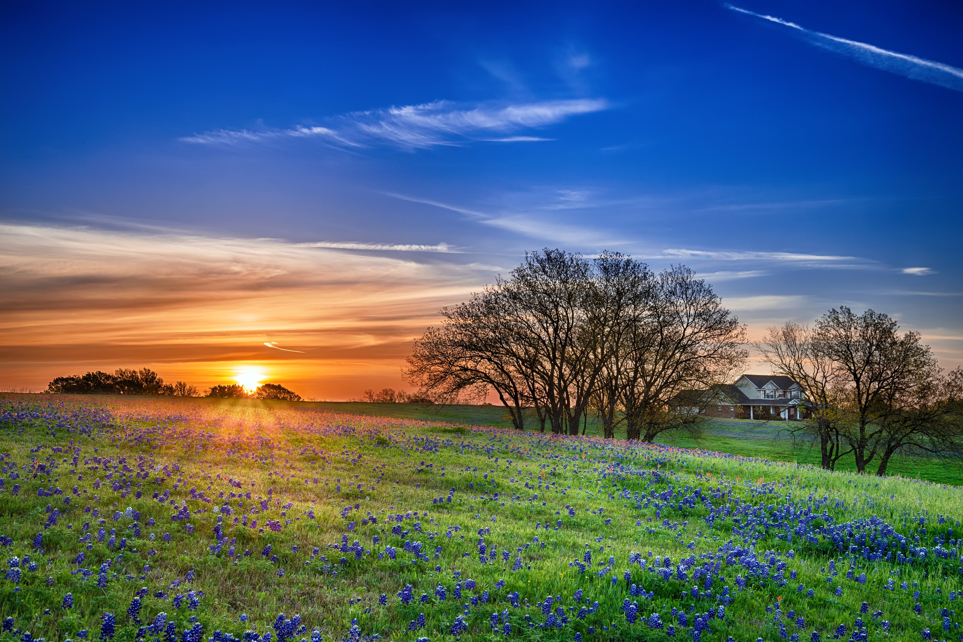 Pearland Property Management