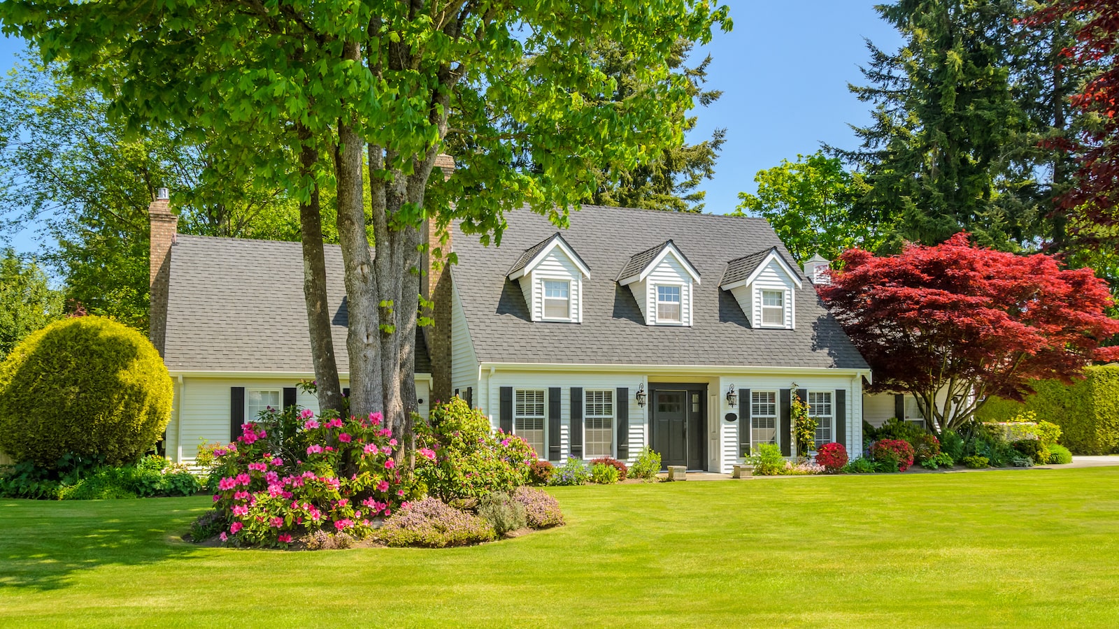 Bryn Mawr Property Management