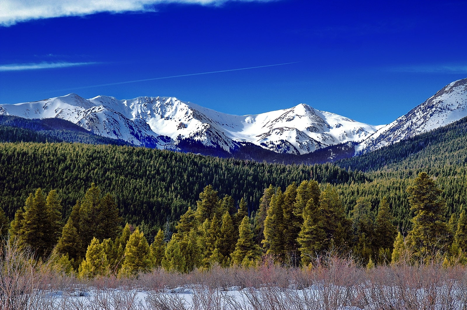 Castle Rock Property Management