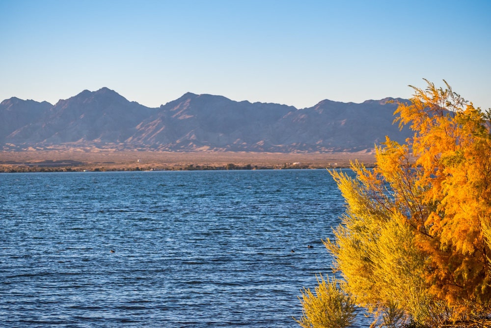 Lake Havasu Property Management