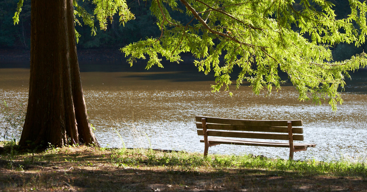 Triad Property Management