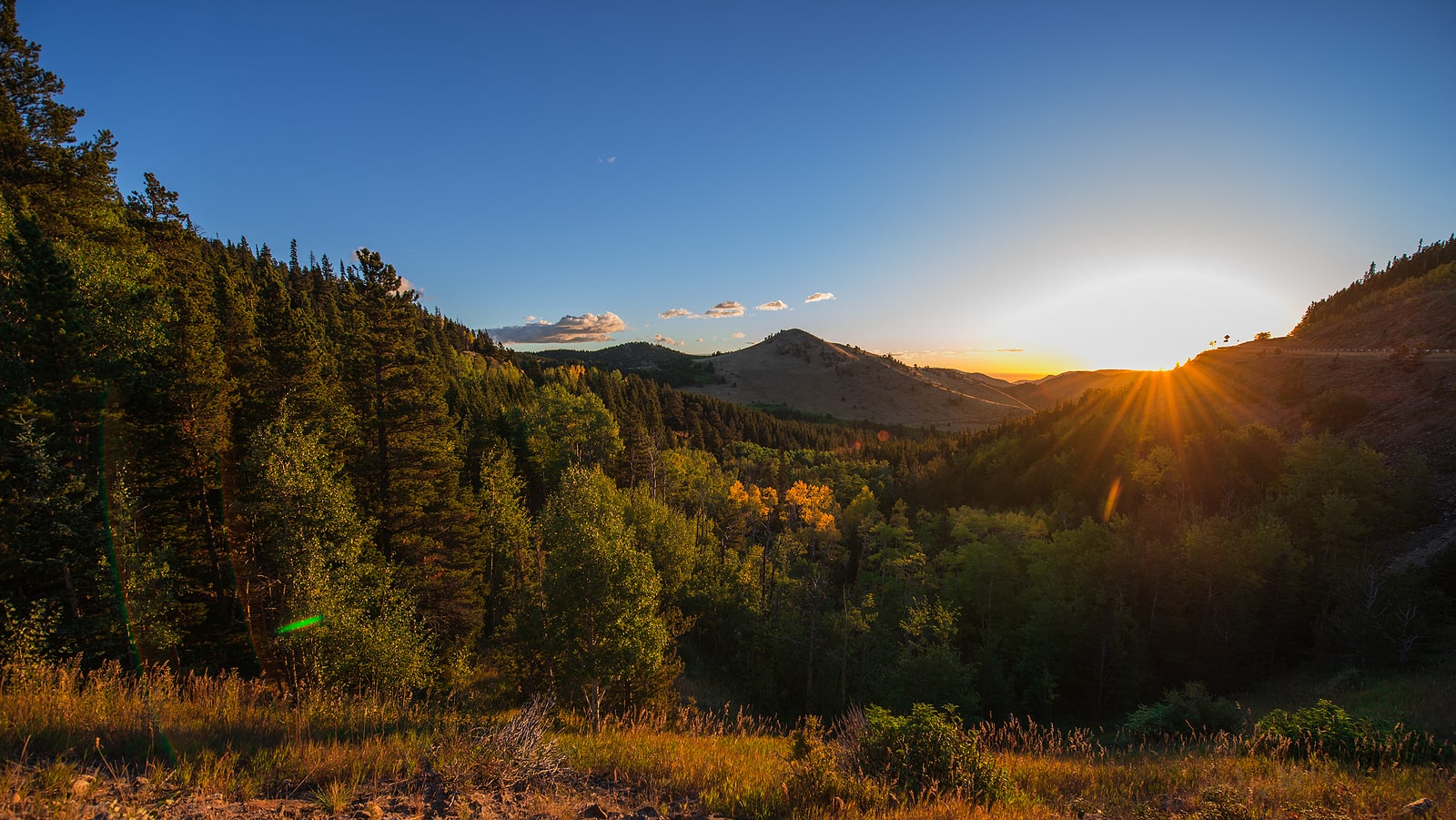 Widefield Property Management